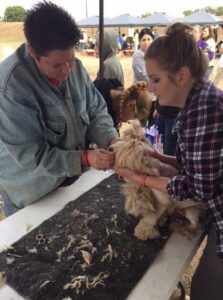 AR Wellness Clinic 2015