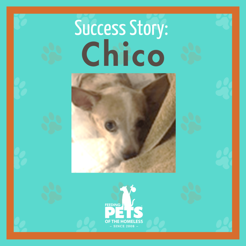Success Story Chico Pets of the Homeless