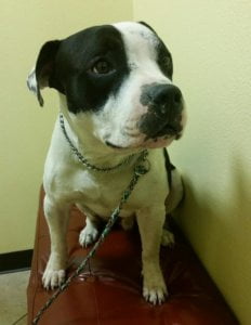 Blue e1442361374635 1