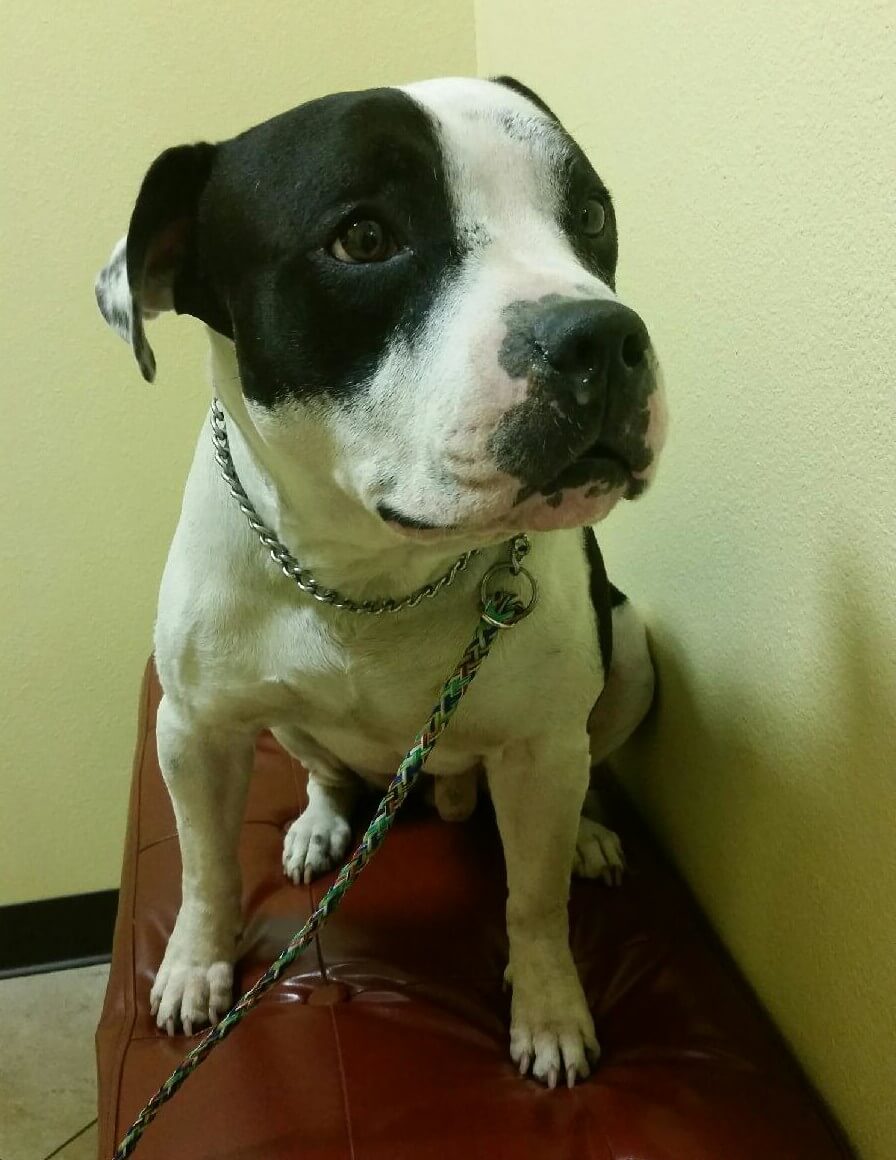 Blue e1442361374635 1