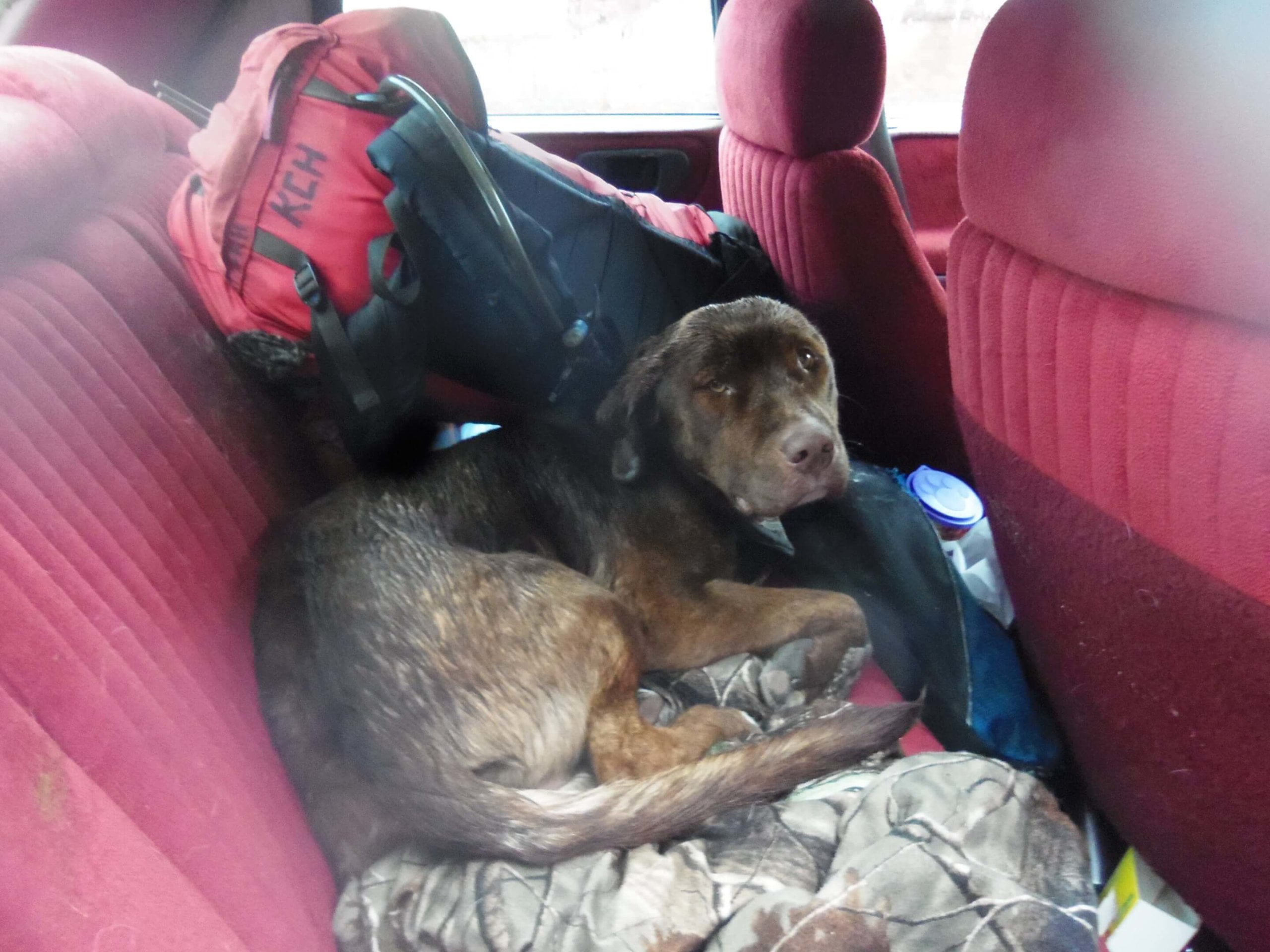 Buddy Washburn 1 scaled