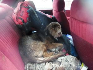 Buddy Washburn1 1 scaled