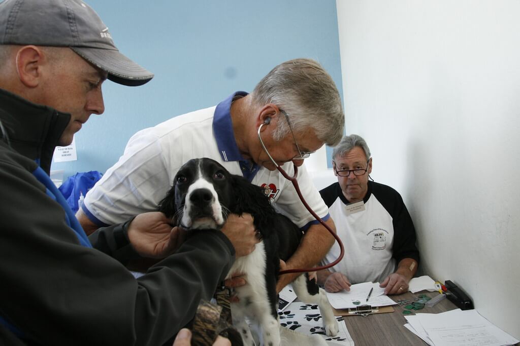 DBrown Photography 52 1