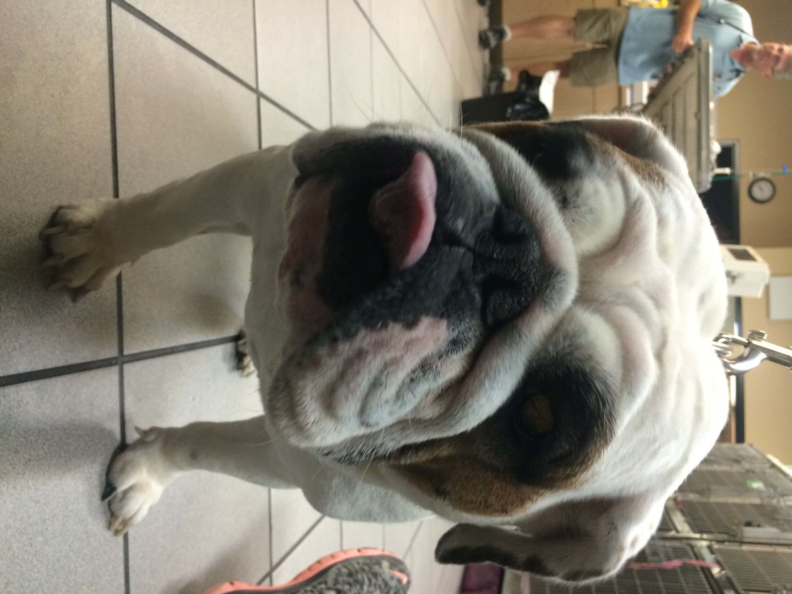 Eunique II e1442341524200 1 scaled