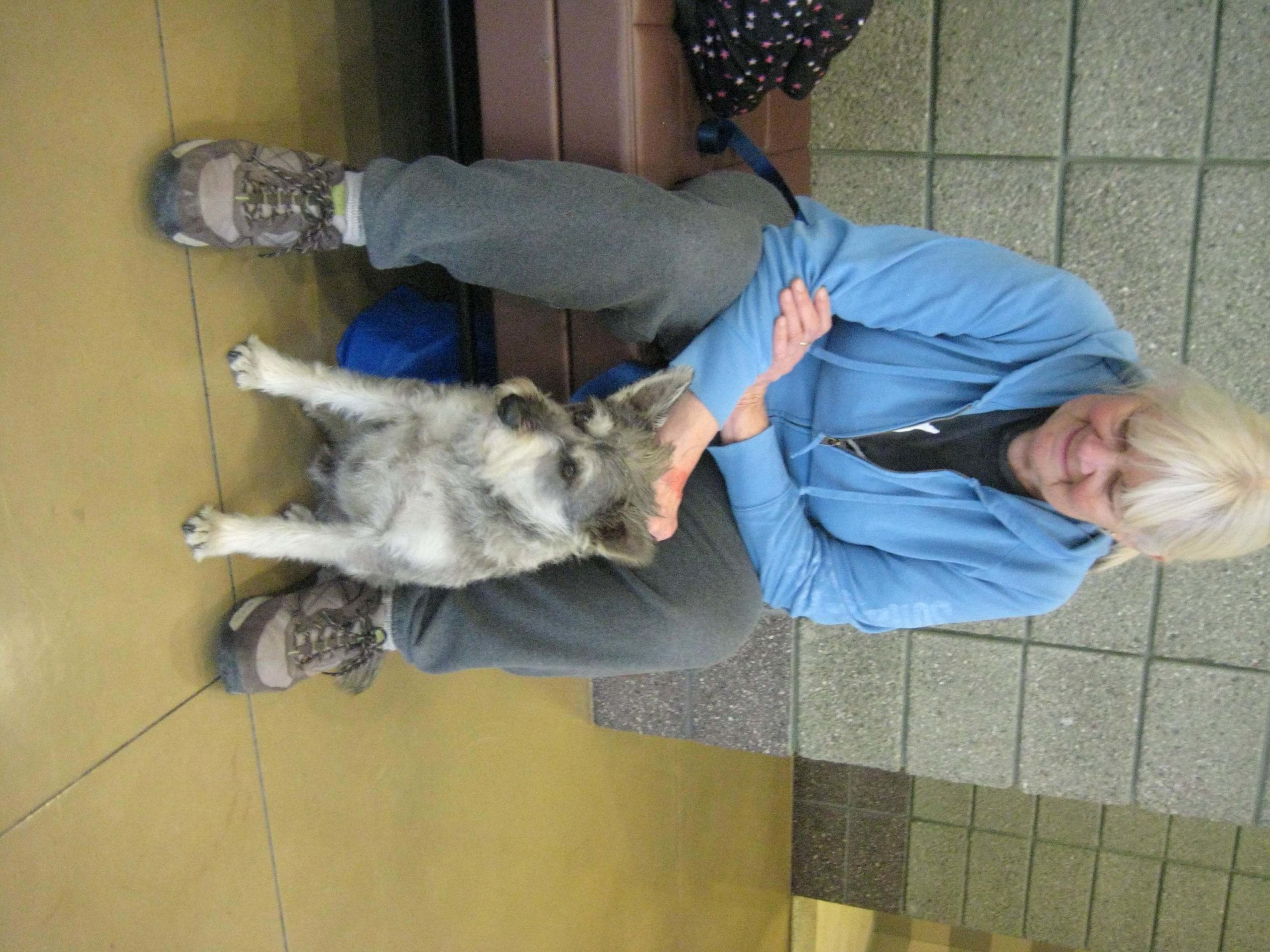 IMG 0135  2  e1442348747872 1 scaled