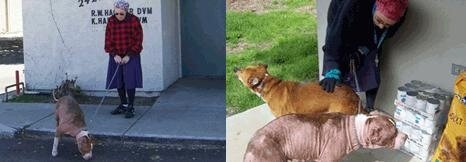 blog donna butler gates 466 1