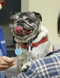 DBrown Photograph 7 cropped 1