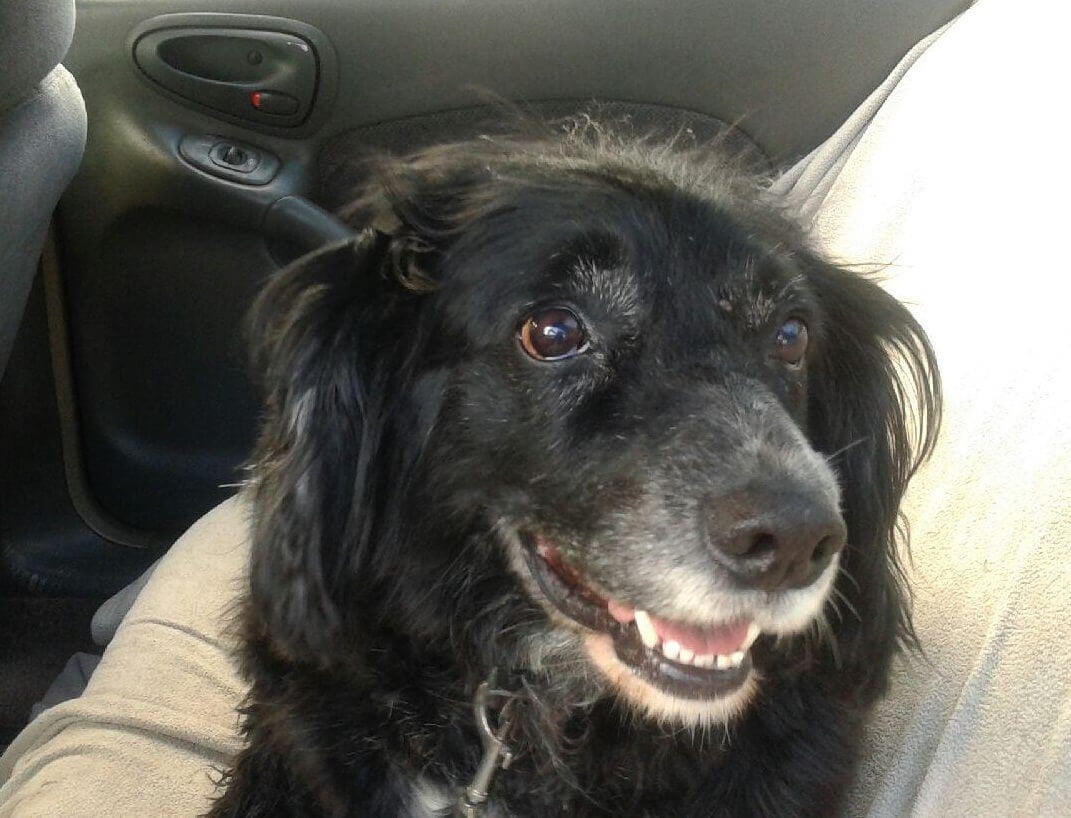 Willie Frederick cropped 1