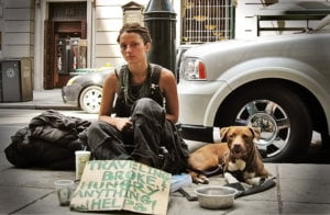 travelers girlanddog 1