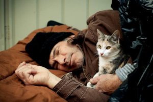 homeless pets man cat 01 600x400 1
