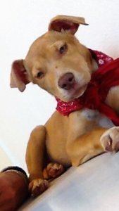 Karma Marquis 02.24.17 1