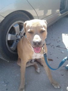 Spazz e1509645121949 1 scaled