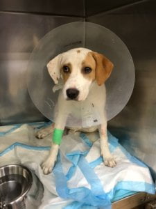 Mimi 1 e1512148997384 1 scaled