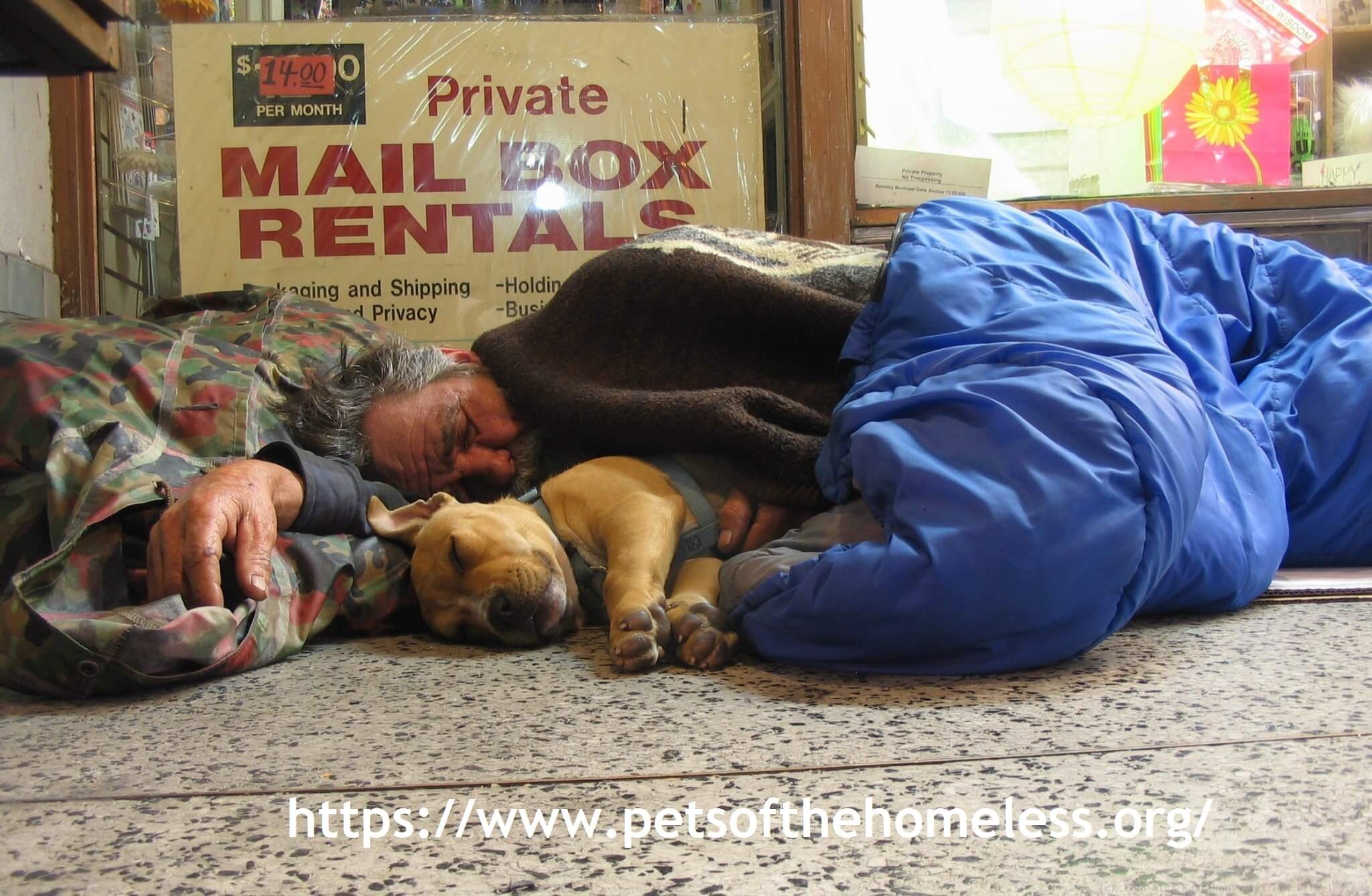 7 Ways to Help Homeless Pet Owners Pets of the Homeless