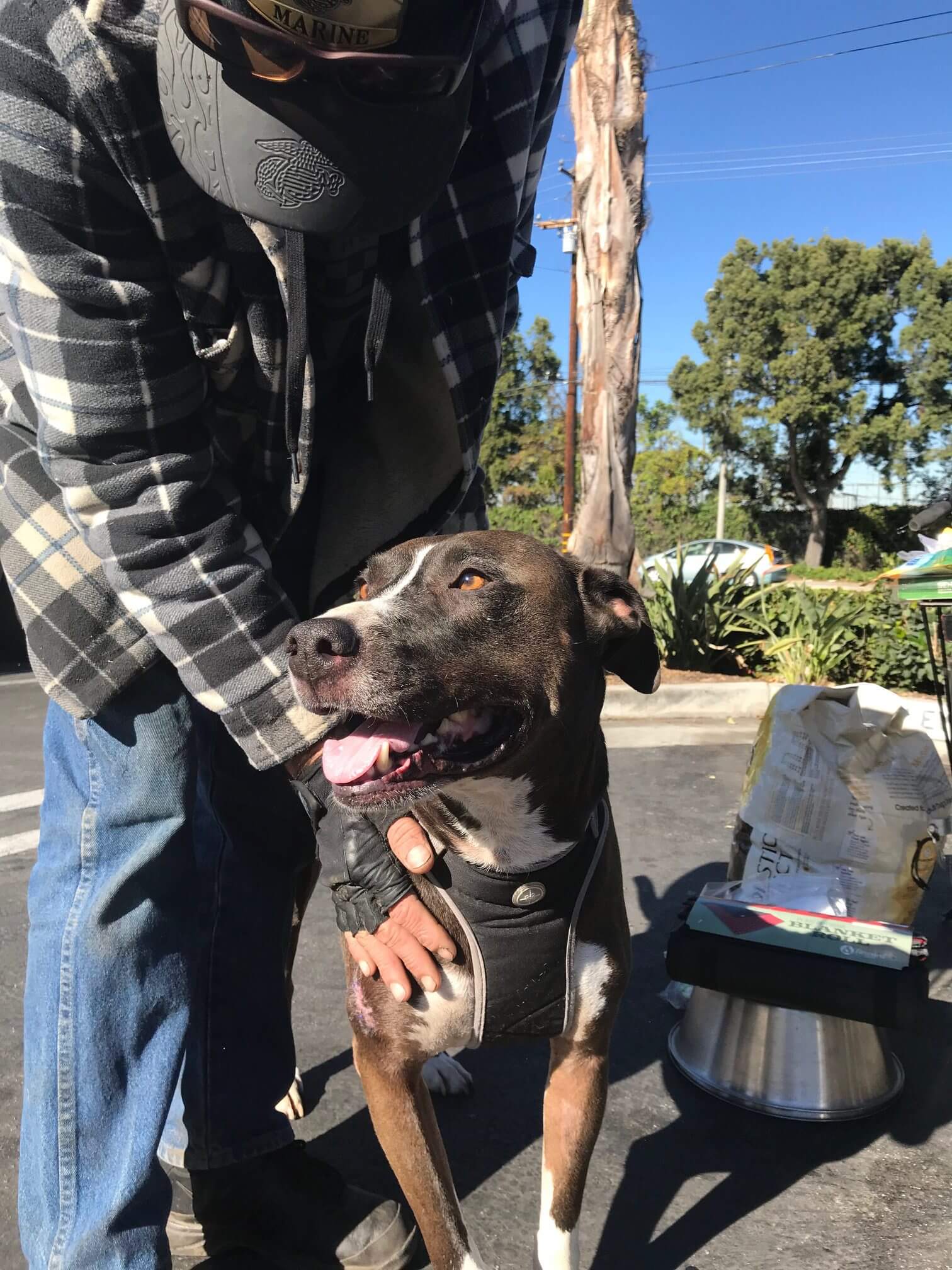 Buddy 2 case 1479 10.2017 e1519932805273 1