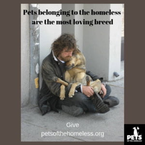 Pets belonging to the homeless are the most loving breed 1