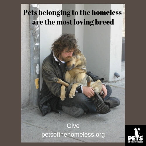Pets belonging to the homeless are the most loving breed 1