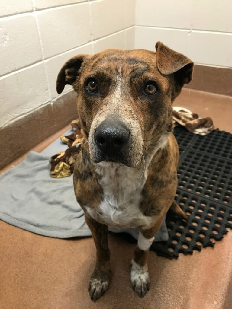 Kitty Abernathy. 5.10.2018 1