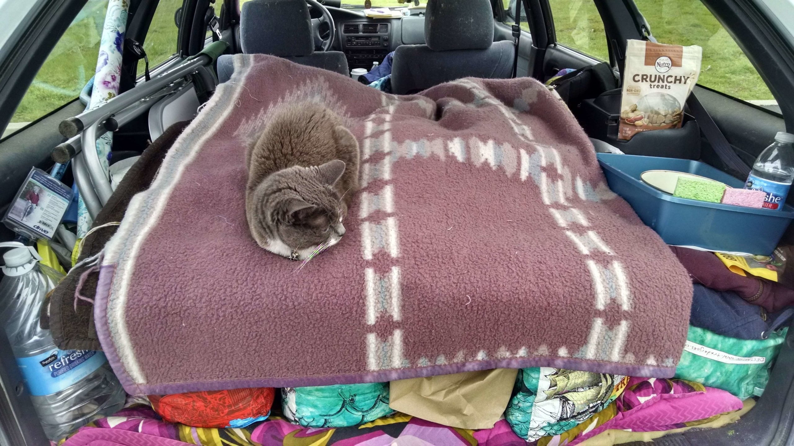 Honeydew pearson 1 scaled