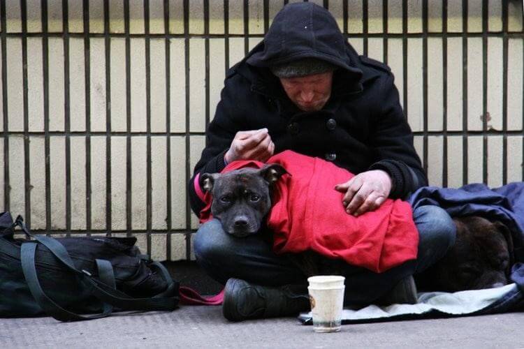 photo for Why more businessness... 1