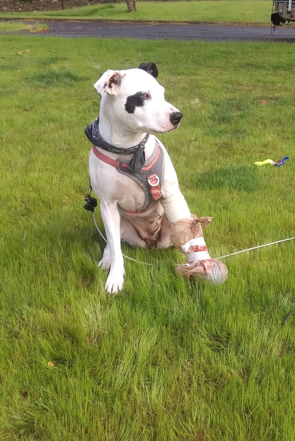 Gracie Williams 6B The Dalles OR 4.18.2019 1.jpg.jpeg 1