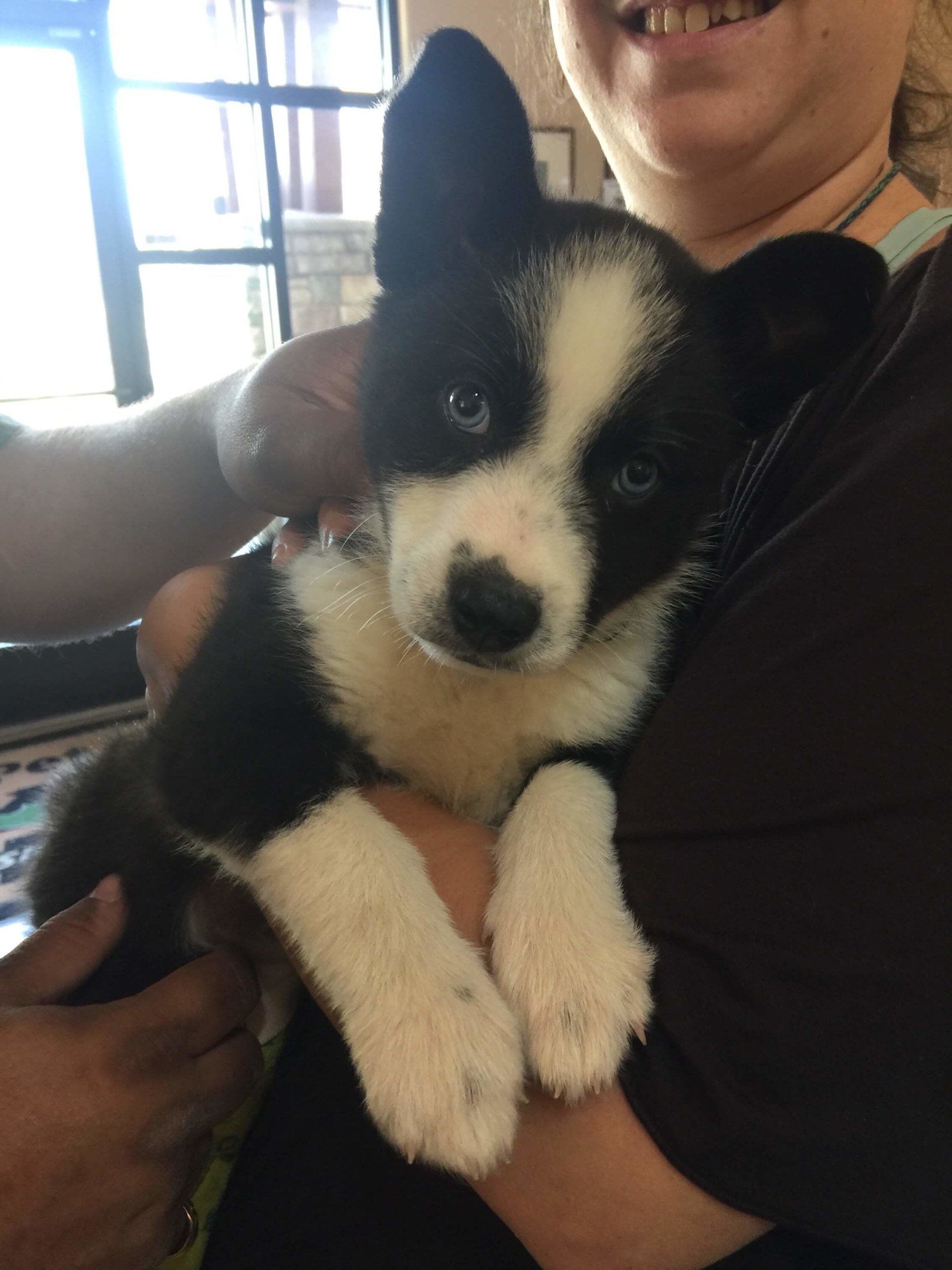 Blaize Gonyea Fresno CA 4.2019 1 scaled