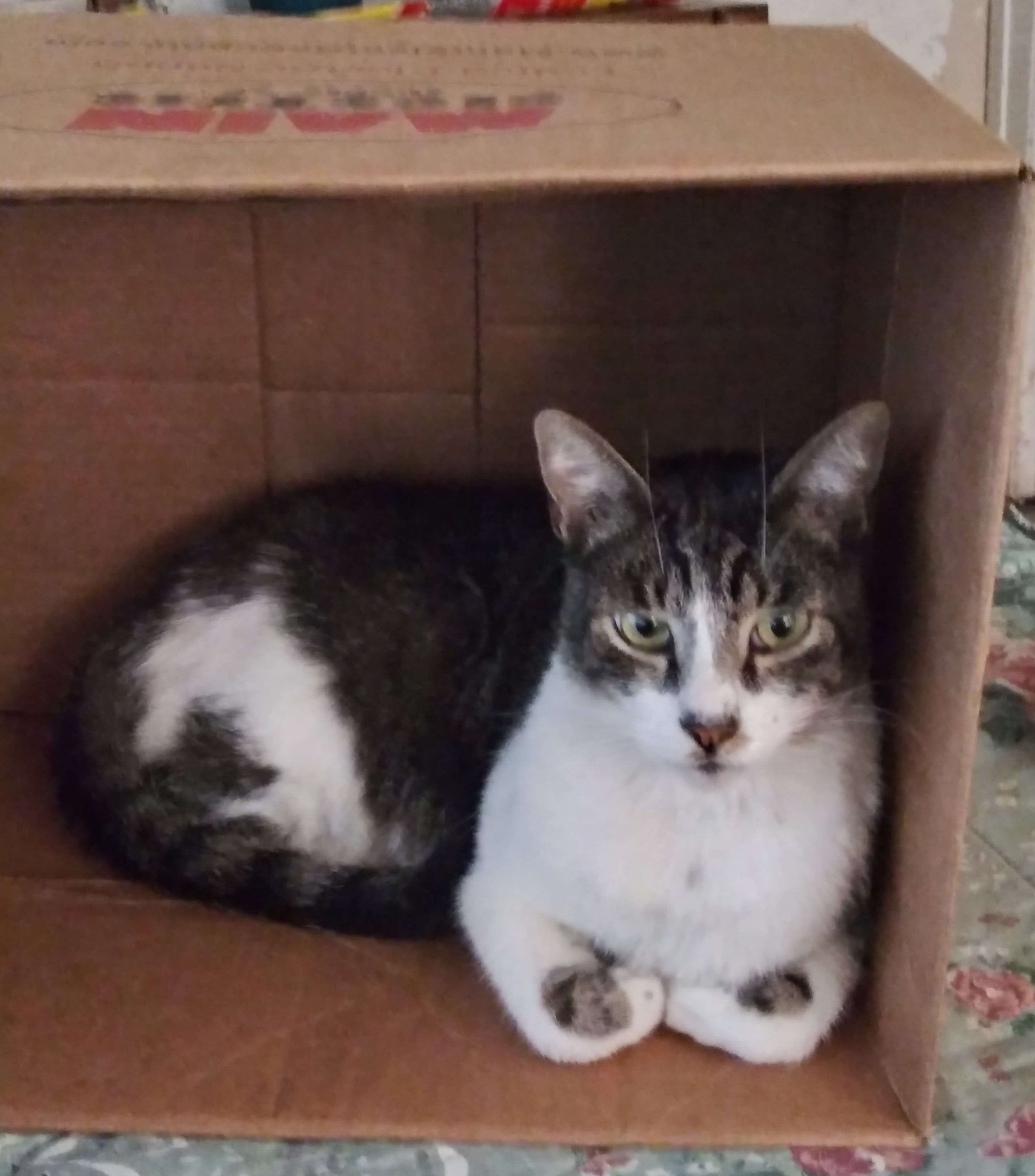 Munchie Weber 2 11.2019 e1577994712975 1 scaled