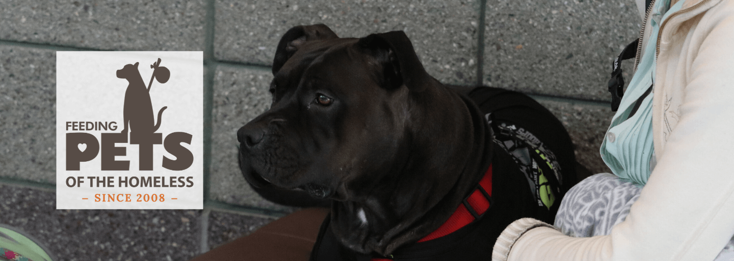 Pets Web images