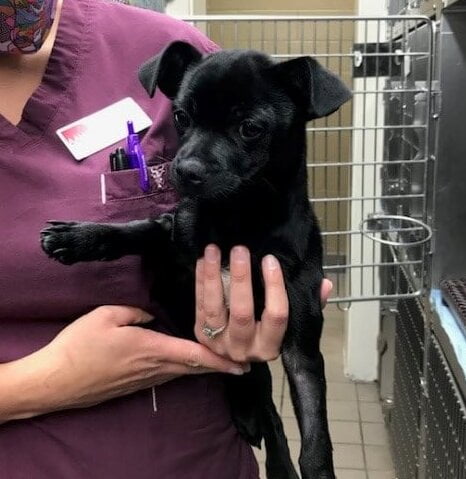 Blue Success Story e1599252685669