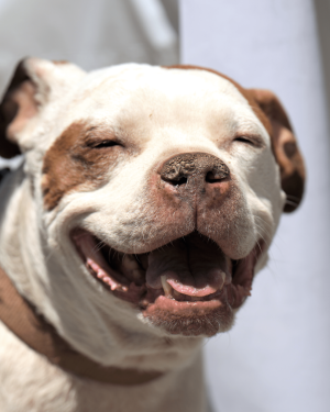 Untitled design (29)